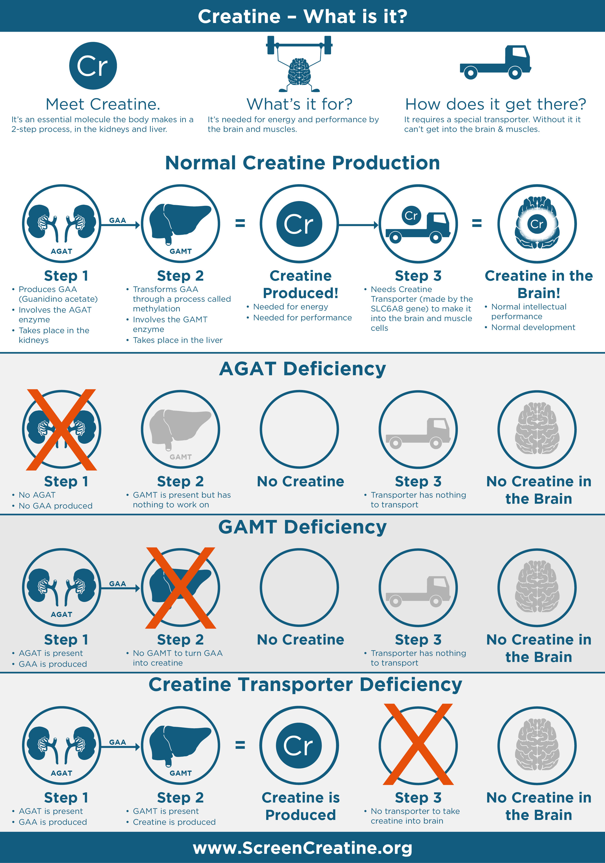 CreatineDisorders.org website