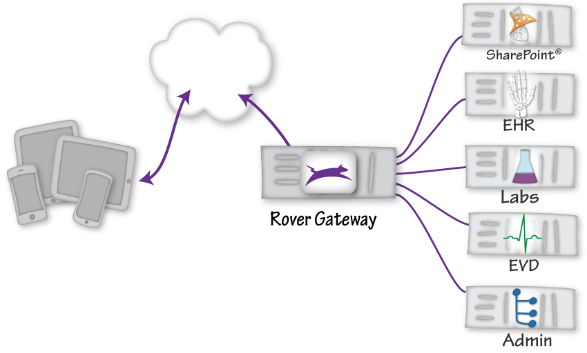 Healthcare network diagram